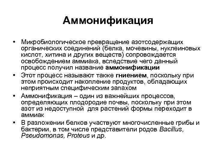    Аммонификация • Микробиологическое превращение азотсодержащих  органических соединений (белка, мочевины, нуклеиновых