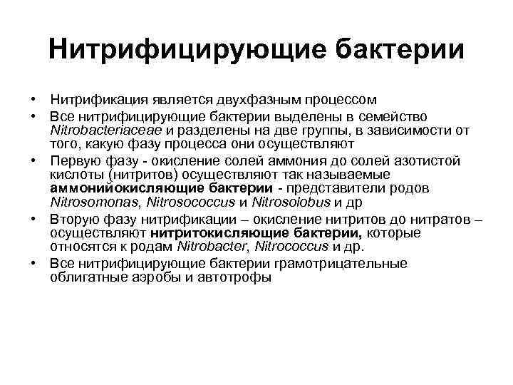  Нитрифицирующие бактерии • Нитрификация является двухфазным процессом • Все нитрифицирующие бактерии выделены в