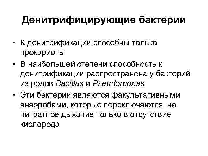  Денитрифицирующие бактерии  • К денитрификации способны только  прокариоты • В наибольшей