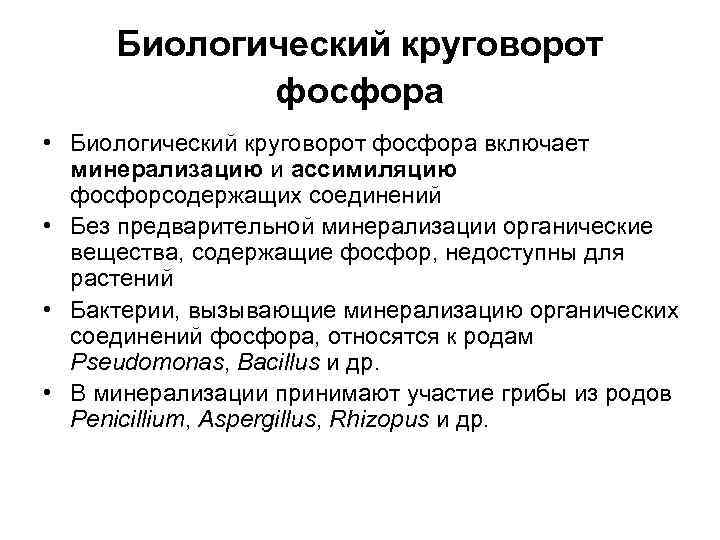  Биологический круговорот   фосфора • Биологический круговорот фосфора включает  минерализацию и