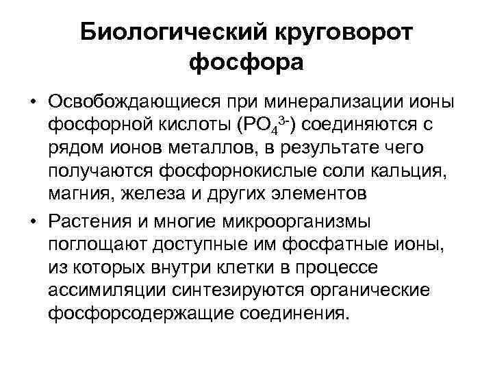   Биологический круговорот  фосфора • Освобождающиеся при минерализации ионы  фосфорной кислоты