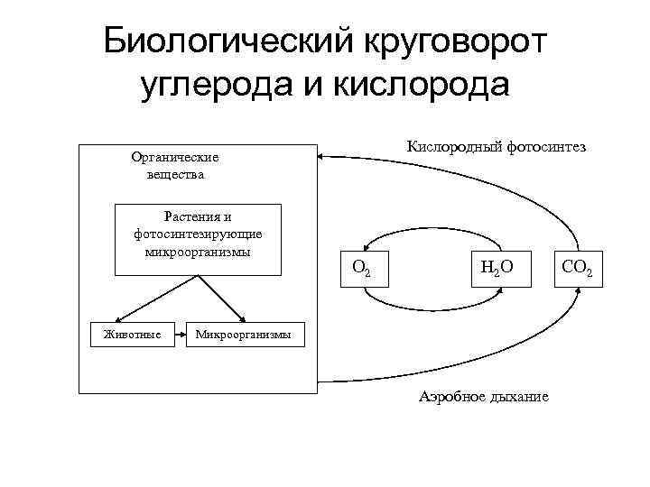 Схема круговорота кислорода в природе схема и