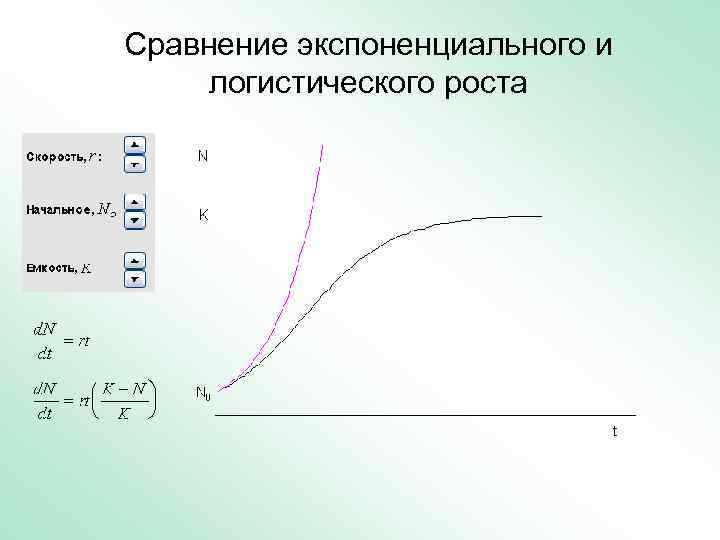 Сравнение роста фото