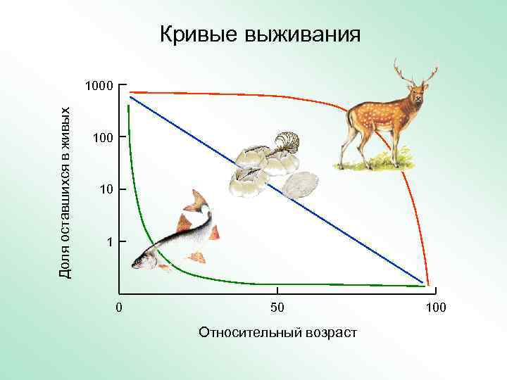        Кривые выживания     