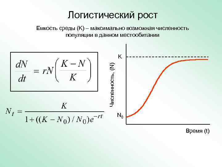 Динамика популяции 11 класс презентация