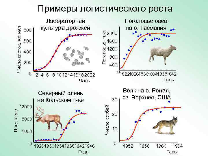       Примеры логистического роста    Лабораторная 