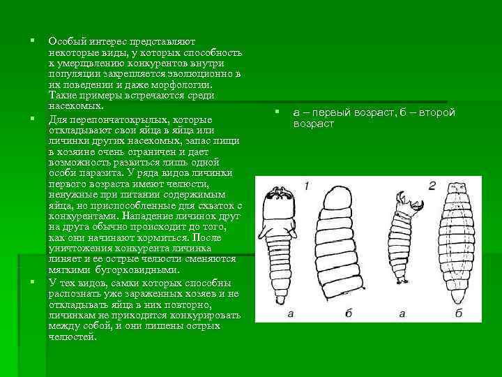 §  Особый интерес представляют некоторые виды, у которых способность к умерщвлению конкурентов внутри