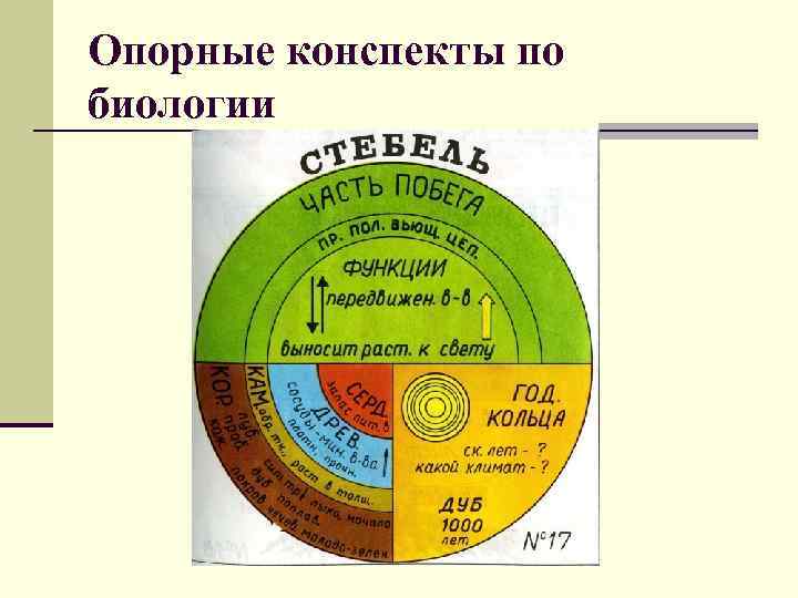 Опорные конспекты по биологии 