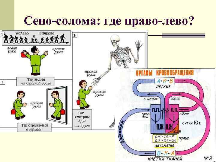 Сено-солома: где право-лево? 