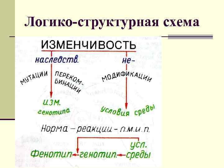 Логико-структурная схема 