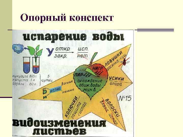 Опорный конспект 