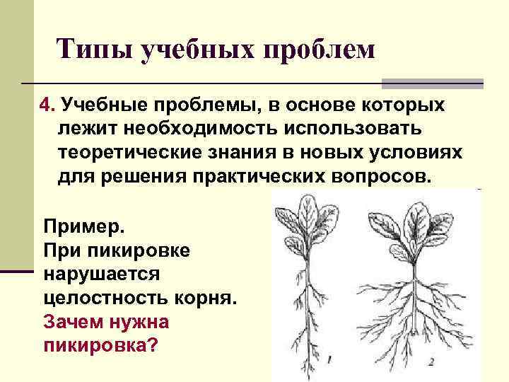 Типы учебных проблем 4. Учебные проблемы, в основе которых лежит необходимость использовать теоретические знания