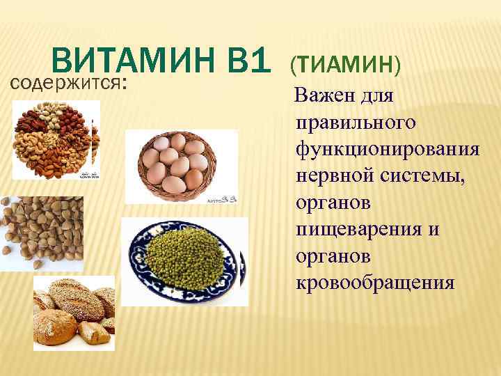   ВИТАМИН В 1 содержится:    (ТИАМИН)   Важен для