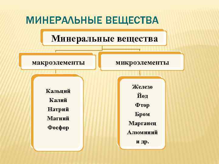 МИНЕРАЛЬНЫЕ ВЕЩЕСТВА Минеральные вещества макроэлементы  микроэлементы     Железо  Кальций