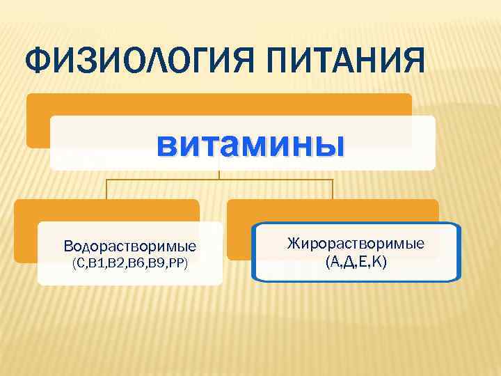 ФИЗИОЛОГИЯ ПИТАНИЯ    витамины  Водорастворимые  Жирорастворимые  (С, В 1,