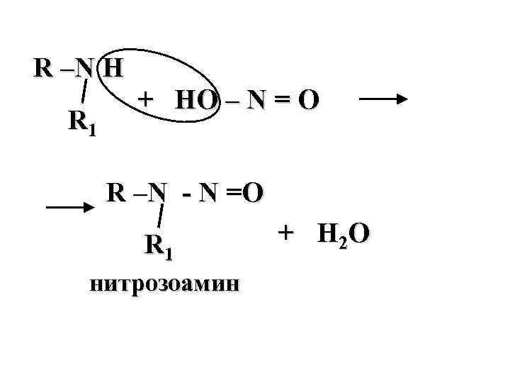 R –N H   + HO – N = O  R 1