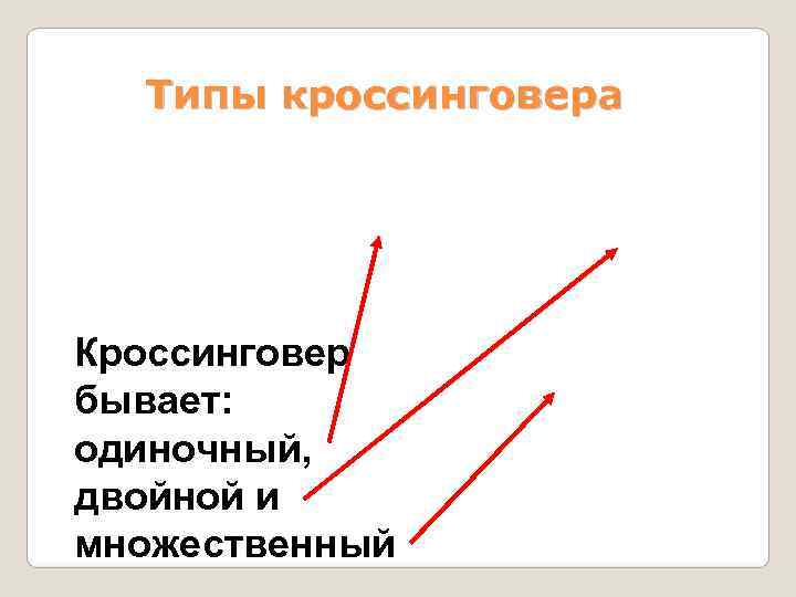  Типы кроссинговера Кроссинговер бывает: одиночный, двойной и множественный 
