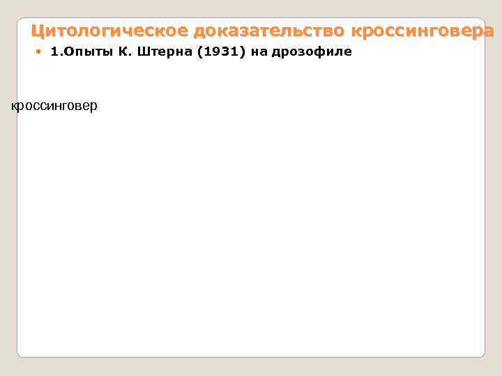  Цитологическое доказательство кроссинговера   1. Опыты К. Штерна (1931) на дрозофиле кроссинговер
