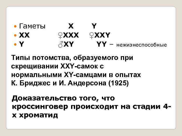 На диаграмме представлены два типа гамет человека х и у назовите гаметы