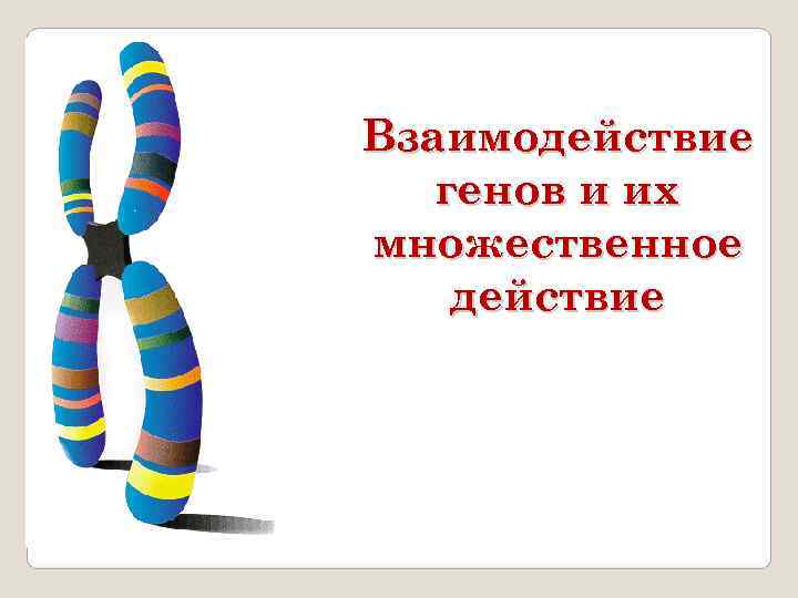 Взаимодействие  генов и их множественное действие 