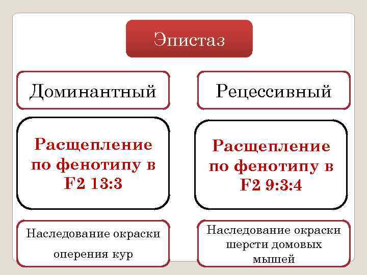     Эпистаз Доминантный   Рецессивный Расщепление по фенотипу в F