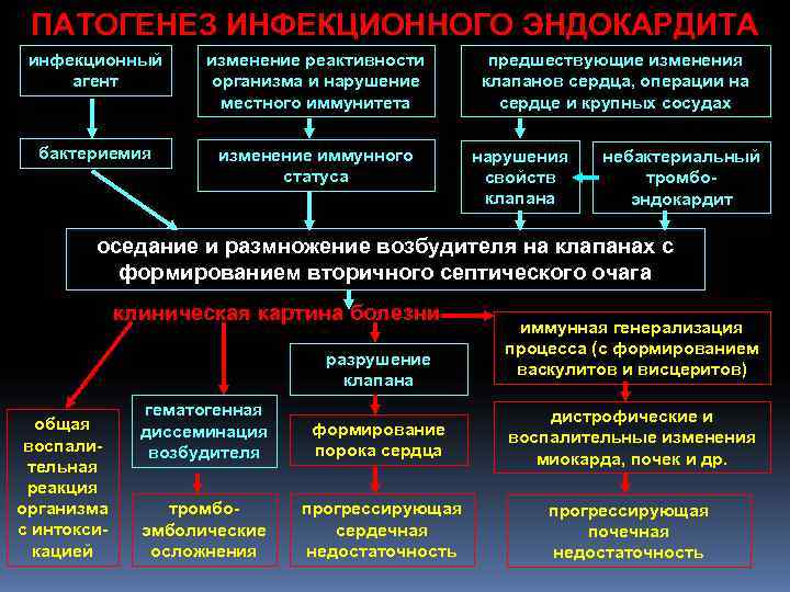 ПАТОГЕНЕЗ ИНФЕКЦИОННОГО ЭНДОКАРДИТА инфекционный изменение реактивности предшествующие изменения агент ПАТОГЕНЕЗ ИНФЕКЦИОННОГО ЭНДОКАРДИТА инфекционный изменение реактивности предшествующие изменения агент