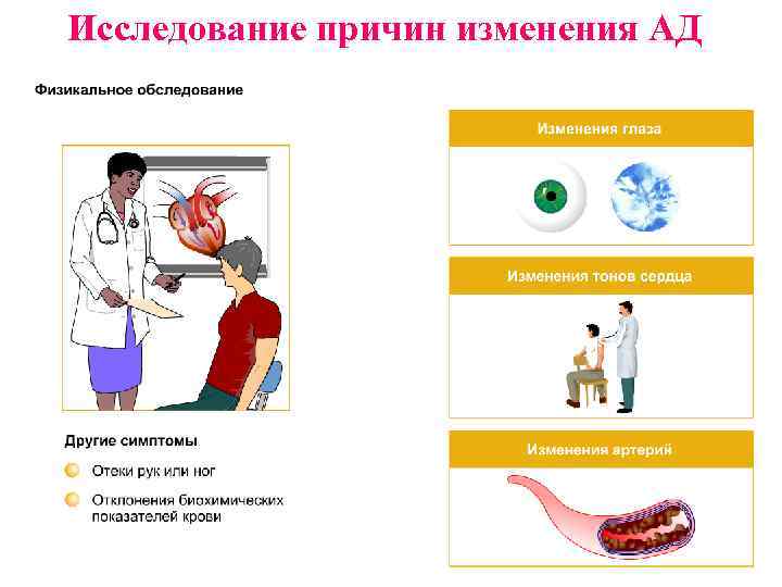 Исследование причин изменения АД 