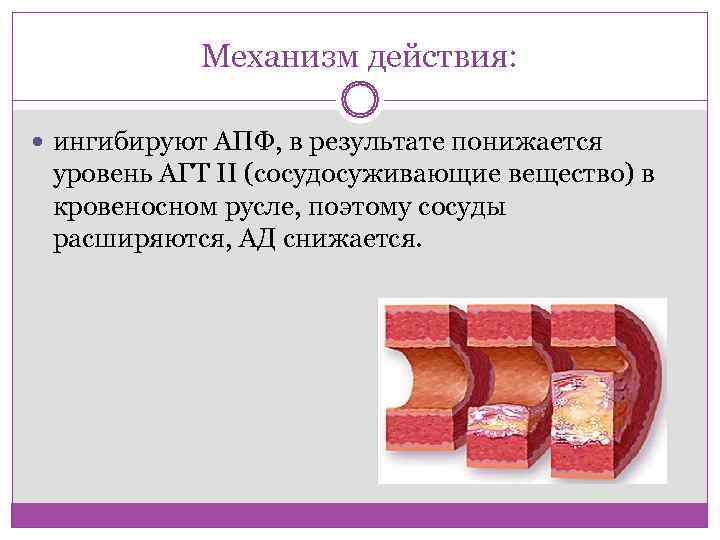   Механизм действия: ингибируют АПФ, в результате понижается  уровень АГТ II (сосудосуживающие
