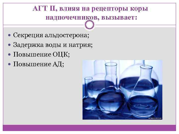   АГТ II, влияя на рецепторы коры     надпочечников, вызывает: