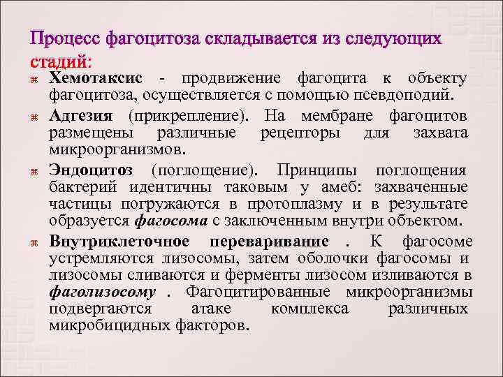 Процесс фагоцитоза складывается из следующих стадий: Хемотаксис - продвижение фагоцита к объекту фагоцитоза, осуществляется