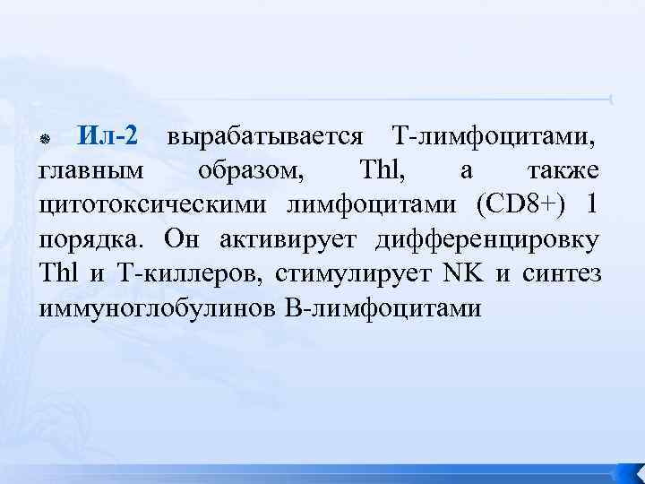   Ил-2 вырабатывается Т-лимфоцитами,  главным  образом, Thl, а также цитотоксическими лимфоцитами