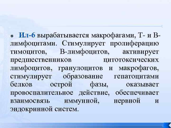   Ил-6 вырабатывается макрофагами, Т- и В- лимфоцитами.  Стимулирует пролиферацию тимоцитов, 