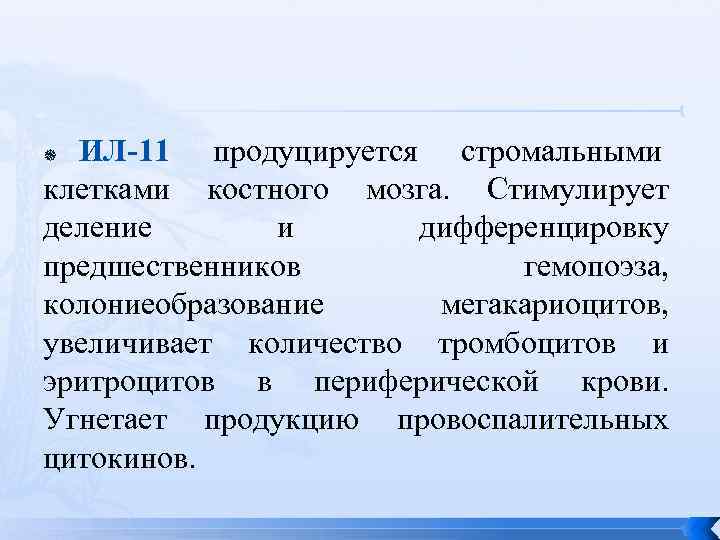  ИЛ-11 продуцируется стромальными клетками костного мозга.  Стимулирует деление  и  дифференцировку