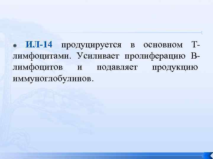  ИЛ-14 продуцируется в основном Т- лимфоцитами.  Усиливает пролиферацию В- лимфоцитов и подавляет