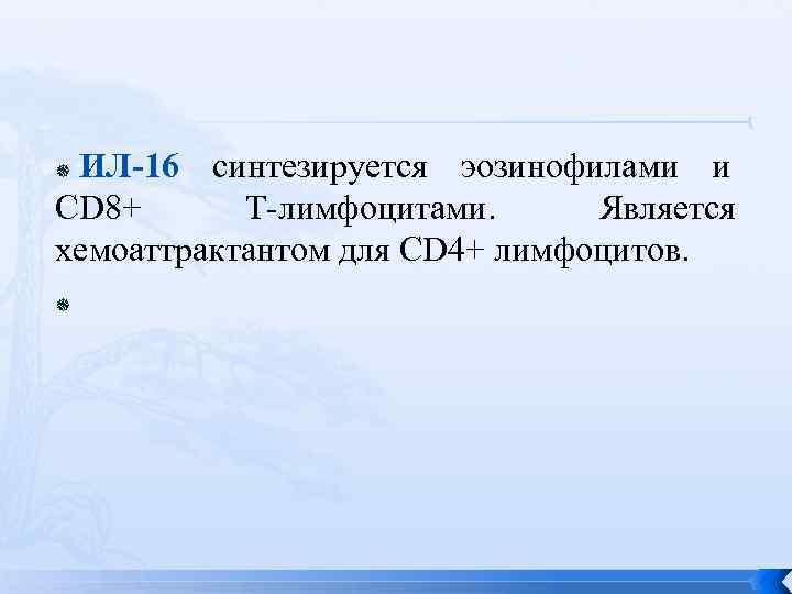  ИЛ-16 синтезируется эозинофилами и CD 8+  Т-лимфоцитами.  Является хемоаттрактантом для CD