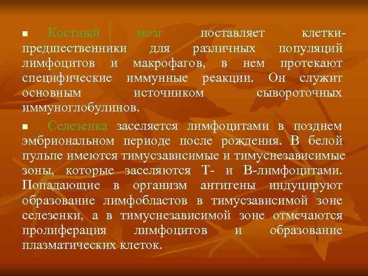 n  Костный  мозг поставляет клетки предшественники для  различных  популяций лимфоцитов