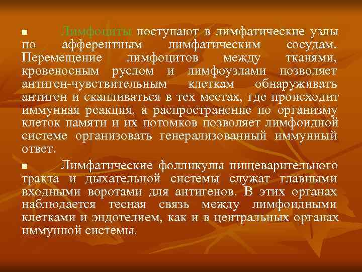 n Лимфоциты поступают в лимфатические узлы по афферентным лимфатическим  сосудам. Перемещение лимфоцитов между