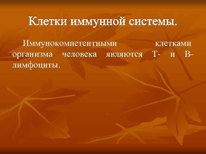  Клетки иммунной системы.  Иммунокомпетентными  клетками организма человека являются Т и