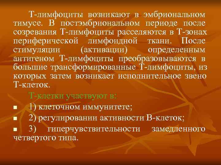   Т лимфоциты возникают в эмбриональном тимусе. В постэмбриональном периоде после созревания Т