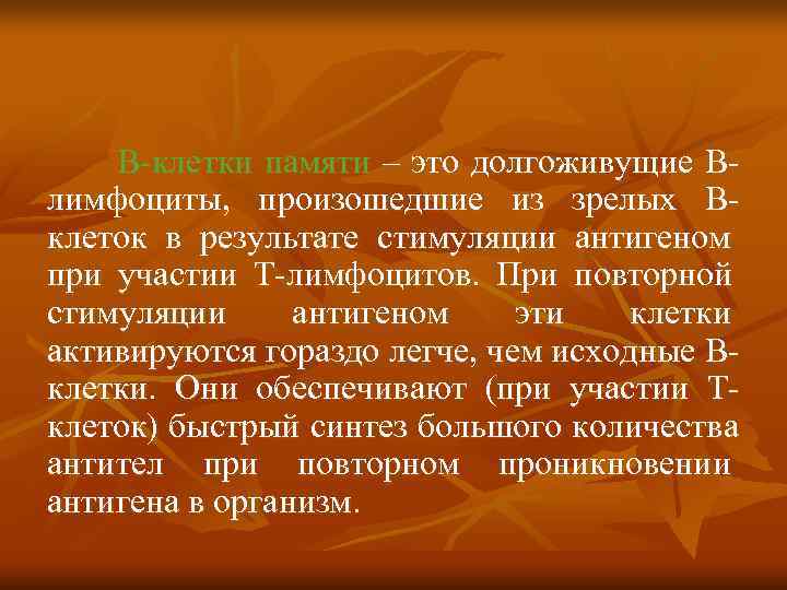  В клетки памяти – это долгоживущие В лимфоциты, произошедшие из зрелых В