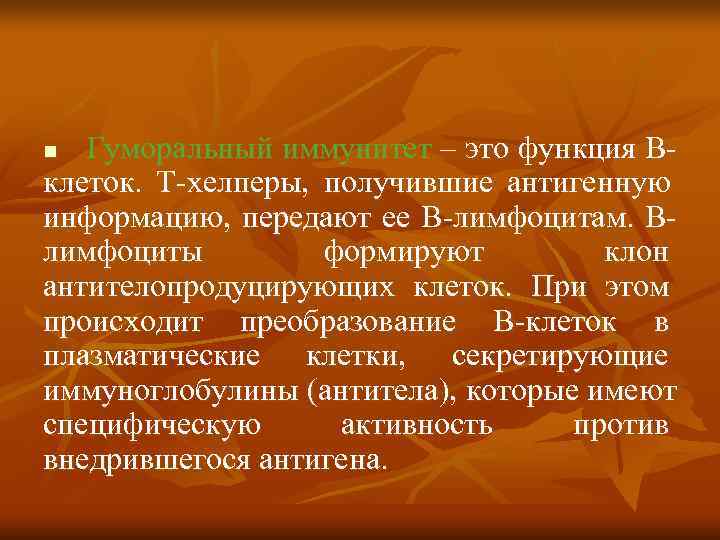 n Гуморальный иммунитет – это функция В клеток. Т хелперы, получившие антигенную информацию, передают
