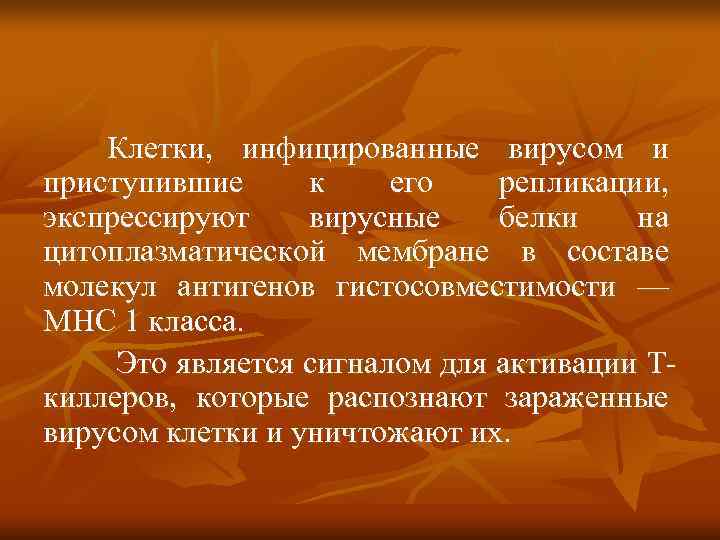   Клетки, инфицированные вирусом и приступившие к его  репликации, экспрессируют вирусные белки
