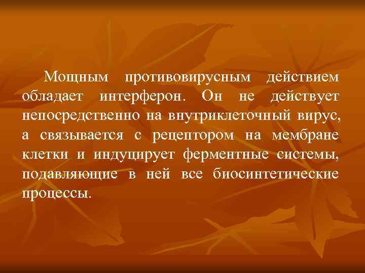   Мощным противовирусным действием обладает интерферон. Он не действует непосредственно на внутриклеточный вирус,
