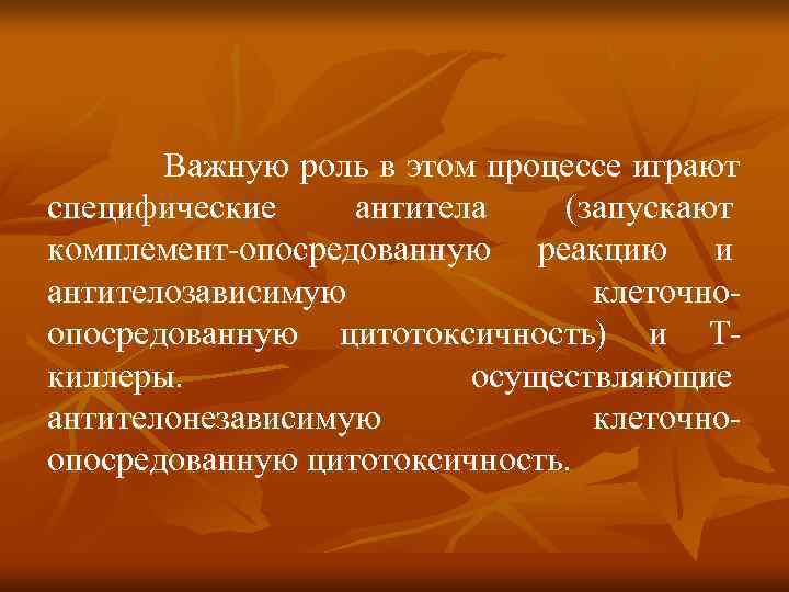   Важную роль в этом процессе играют специфические антитела  (запускают комплемент опосредованную