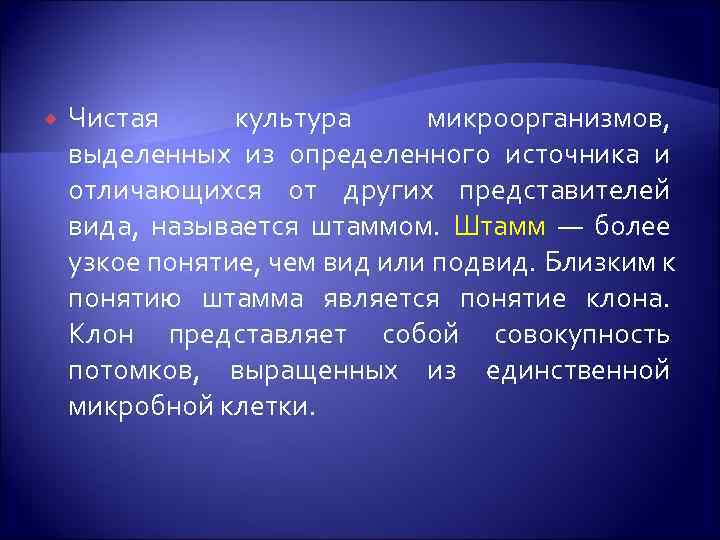   Чистая культура микроорганизмов, выделенных из определенного источника и отличающихся от других представителей