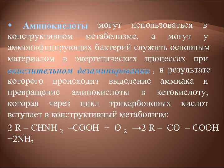 могут использоваться в конструктивном метаболизме, а могут у аммонифицирующих могут использоваться в конструктивном метаболизме, а могут у аммонифицирующих