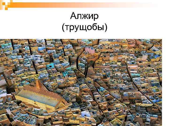 Алжир (трущобы) 