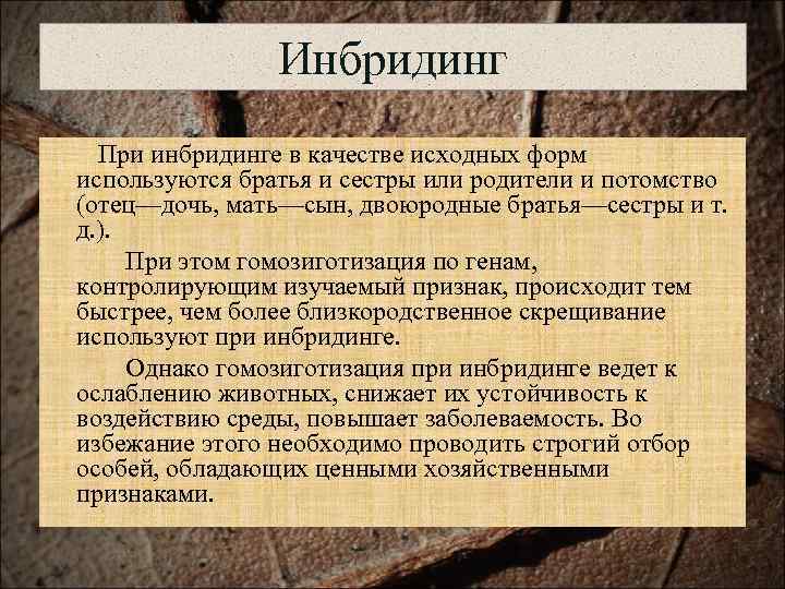     Инбридинг  При инбридинге в качестве исходных форм используются братья