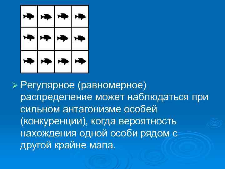 Ø Регулярное (равномерное) распределение может наблюдаться при сильном антагонизме особей (конкуренции), когда вероятность нахождения