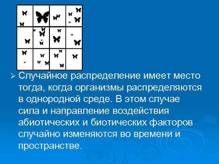 Случайное распределение. Случайное распределение примеры в природе. Случайное распределение тли.